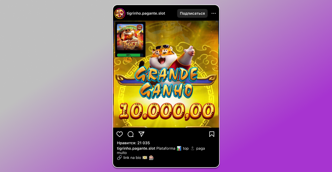 Gambling Ad Dolphin Anty