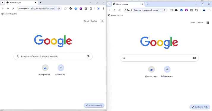 Синхронизатор Dolphin Anty