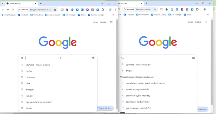Синхронизатор Dolphin Anty