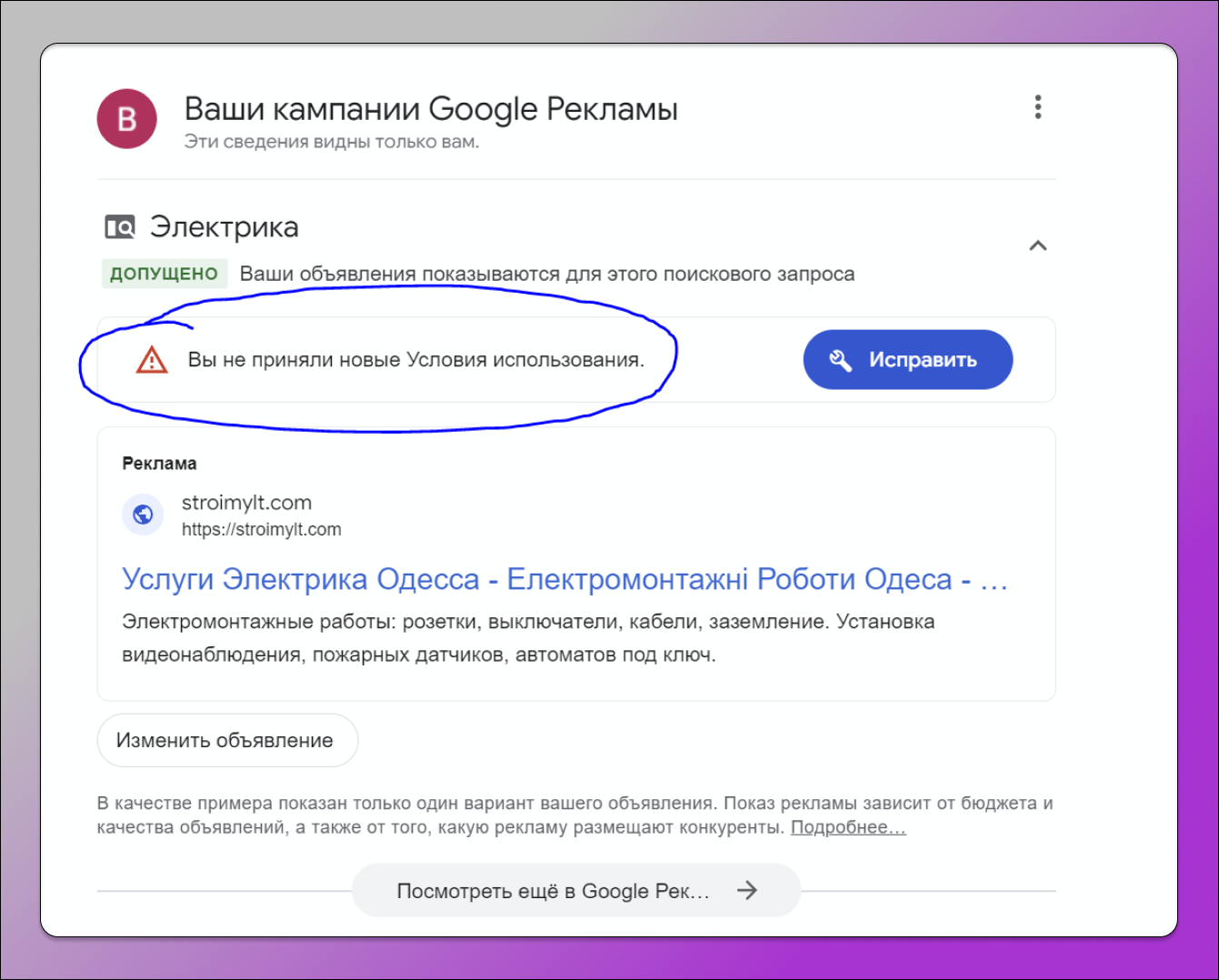 Условия использования Dolphin Anty