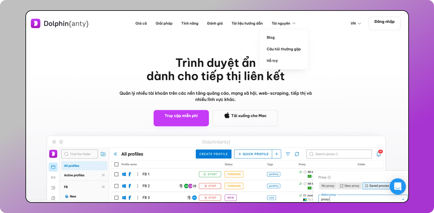Trang web Dolphin Anty