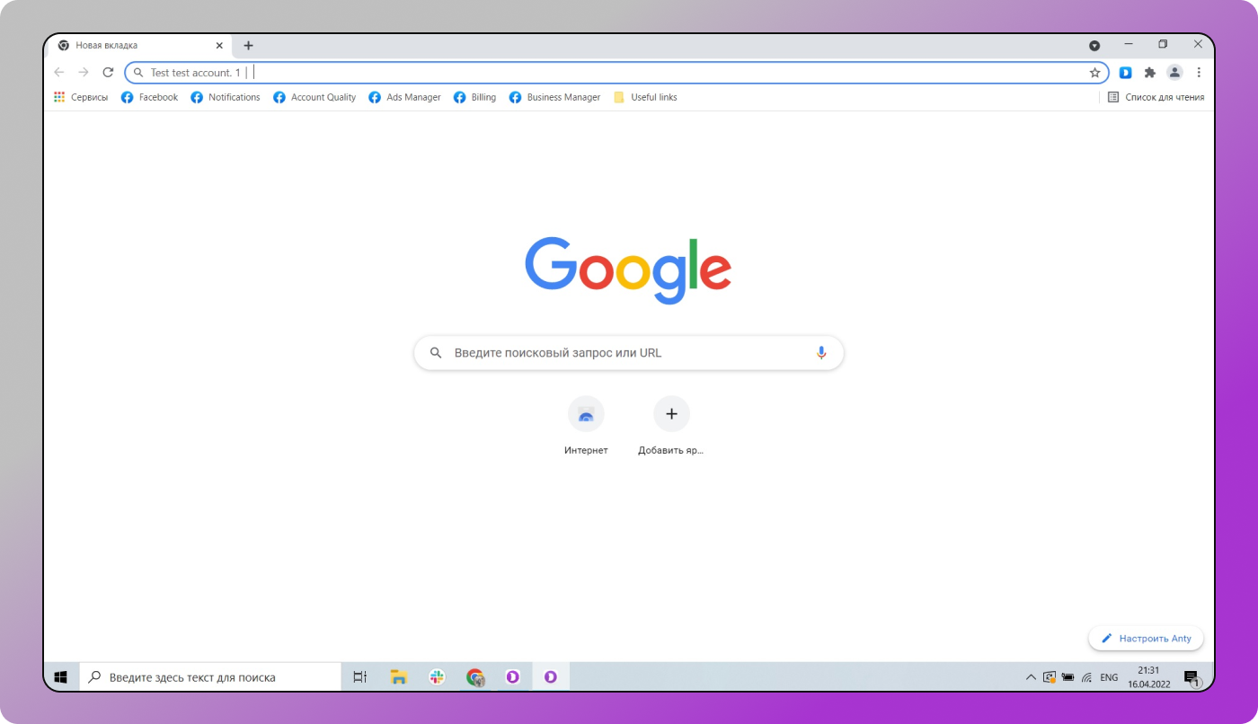 Profile Dolphin Anty